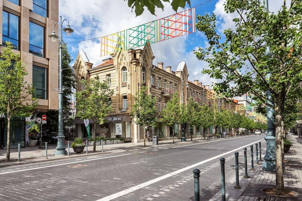 Leilighet Luxury In Gedimino Av.