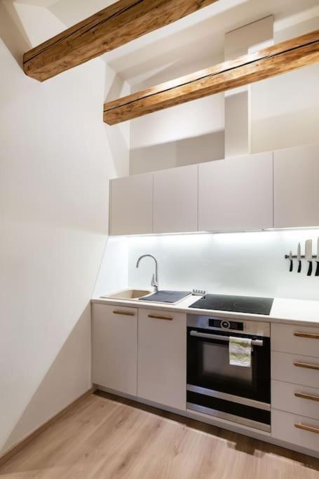 Luxury In Gedimino Av. *